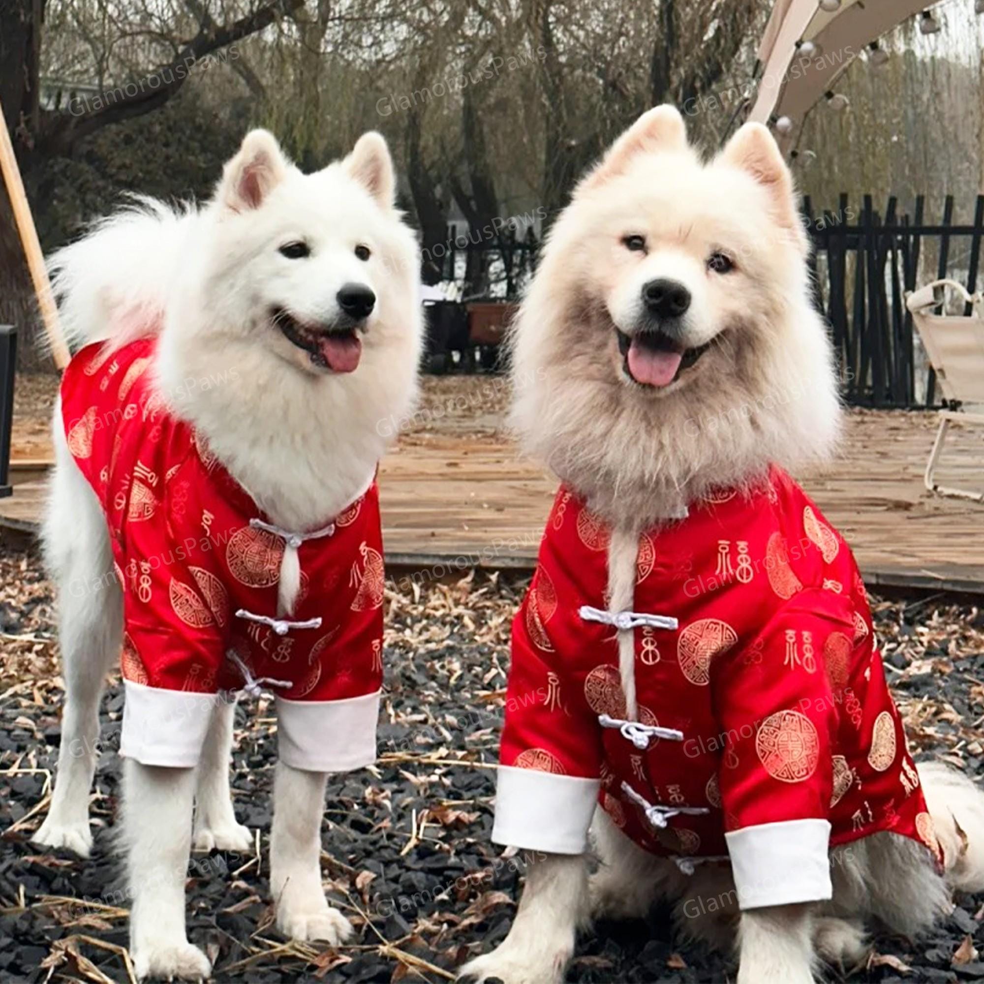 Custom New Year Outfit for Large Dogs, Chinese Spring Festival
