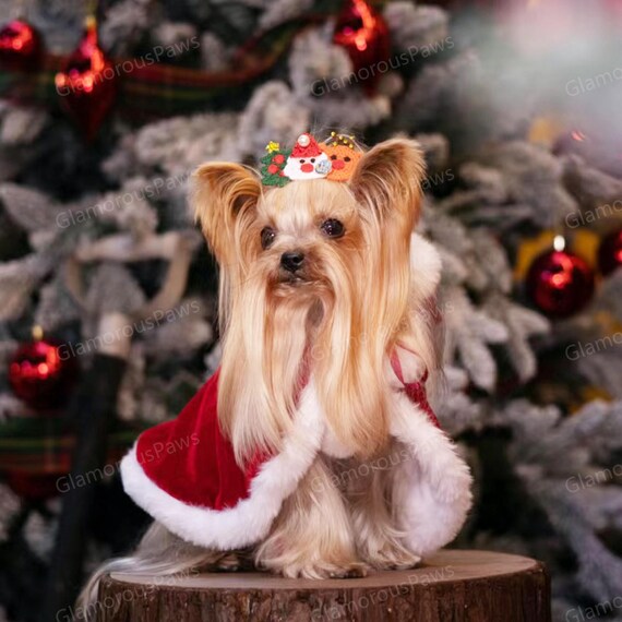Dog Christmas Costume, Xmas Santa Red Hooded Cape for Cats and Dogs, Winter Dog Coat Pet Clothes Custom Size, Christmas Gift for Pets - Etsy Dog Christmas Costume, Xmas Santa Red Hooded Cape for Cats and Dogs, Winter Dog Coat Pet Clothes Custom Size, Christmas Gift for Pets - Etsy