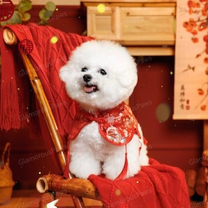 New Year Bandana Bib for Dogs and Cats, Chinese Spring Festival Red Cape for Puppies Large Dogs and Cats, Lunar New Year Custom Pet Gifts
