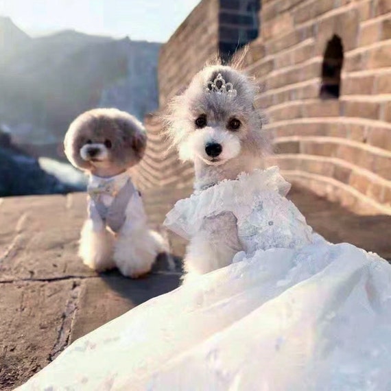 Dog flower girl dress deals