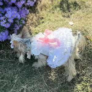 Customizable Wedding Dog Dress, Pink Bow Lace Tulle Dress for Large Dogs and Cats, Birthday Dog Dress, Summer Pets Clothes Princess Costume