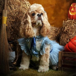 Customizable Wedding Dog Dress, Blue Lace Tulle Dress for Large Dogs and Cats, Birthday Dog Dress, Summer Pets Clothes Princess Costume