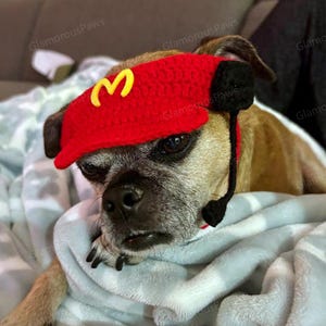 Fast Food Kostüm für Katzen und Hunde, Snackbar Personal Uniform Koch Haustier Cosplay Dress Up, rote Schürze und Strickmütze für Katzen und Hunde Halloween Bild 7