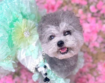 Anpassbares Hochzeits-Haustierkleid, blassgrünes Blumentüllkleid für große Hunde und Katzen, Geburtstags-Hundekleid, Sommer-Haustier-Kleidung-Kostüm