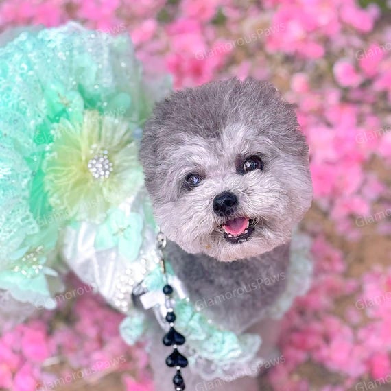 mint green dog dress Customizable Wedding Pet Dress, Pale Floral Tulle for Large Dogs and Cats, Birthday Dress, Summer Pets Clothes Costume Summer 25