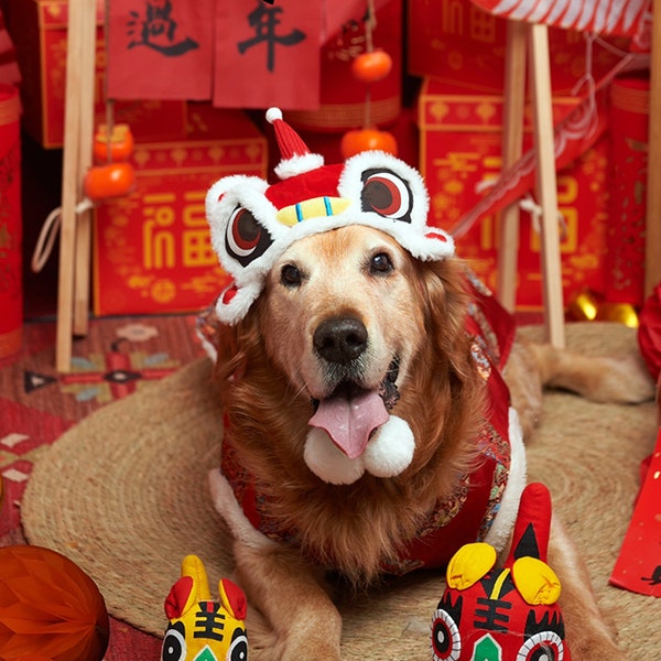 New Year Large Dog Costume Dancing Lion Hat, Chinese Spring Festival Outfit for Big Dogs and Cats, Lunar New Year Fortune Pet Gift