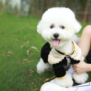 Halloween Dog Prince Costume, Dog Military Uniform Commander Outfit, Pet Pirate Costume Cosplay, Black Velveteen Jacket Coat for Cats Dogs