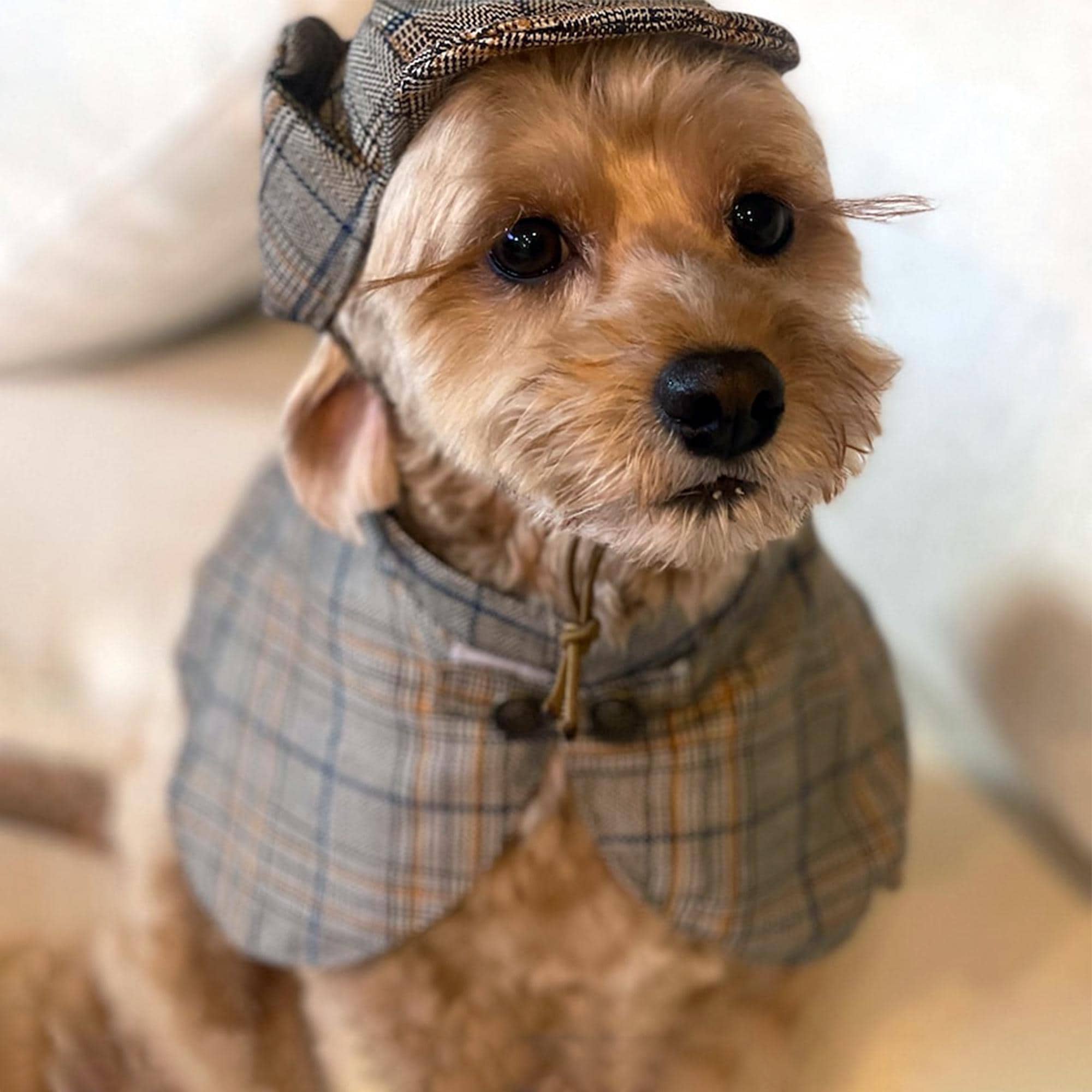 Dog Detective Costume Halloween Sherlock Holmes Cape Deerstalker Hat for Large Dogs and Cats Pet Detective Outfit Funny Costume Dress Up Etsy Canada