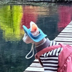 Puede incluir: Un gato Sphynx con un sombrero de mezclilla azul y una camisa a rayas con una mochila rosa. El gato está en un muelle de madera con un cuerpo de agua en el fondo.