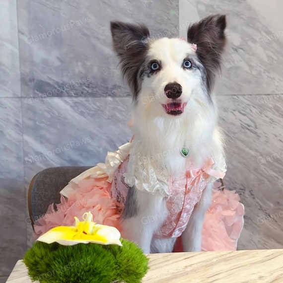 pet dog lace dress Pink Lace and Ruffles Dog Dress
