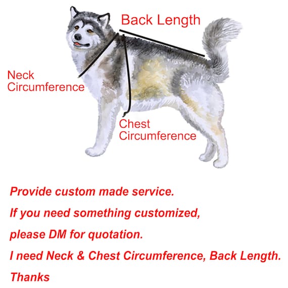 Customizable Wedding Dog Dress White, Flower Girl Bridal Gown