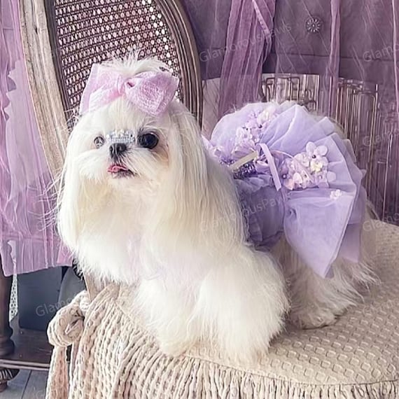 Vestito Elegante Per Cani Piccoli Con Gonna In Pizzo - Per Matrimoni E Feste - Foto 5