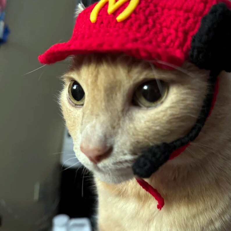 【動画】マクドナルドで働くねこ発見される  [856698234]->画像>3枚 