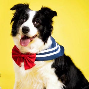 Dog Bandana Inspired from Sailor Scouts, Halloween Pet Bib, Blue Red Schoolgirl Bib for Dogs and Cats, Pet Cosplay Costume Anime-Inspired