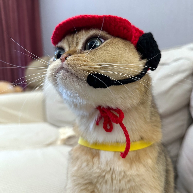 Fast Food Costume for Cats and Dogs, Snackbar Staff Uniform Chef Pet Cosplay Dress Up, Red Apron and Knitted Hat Inspired from McDonalds image 2