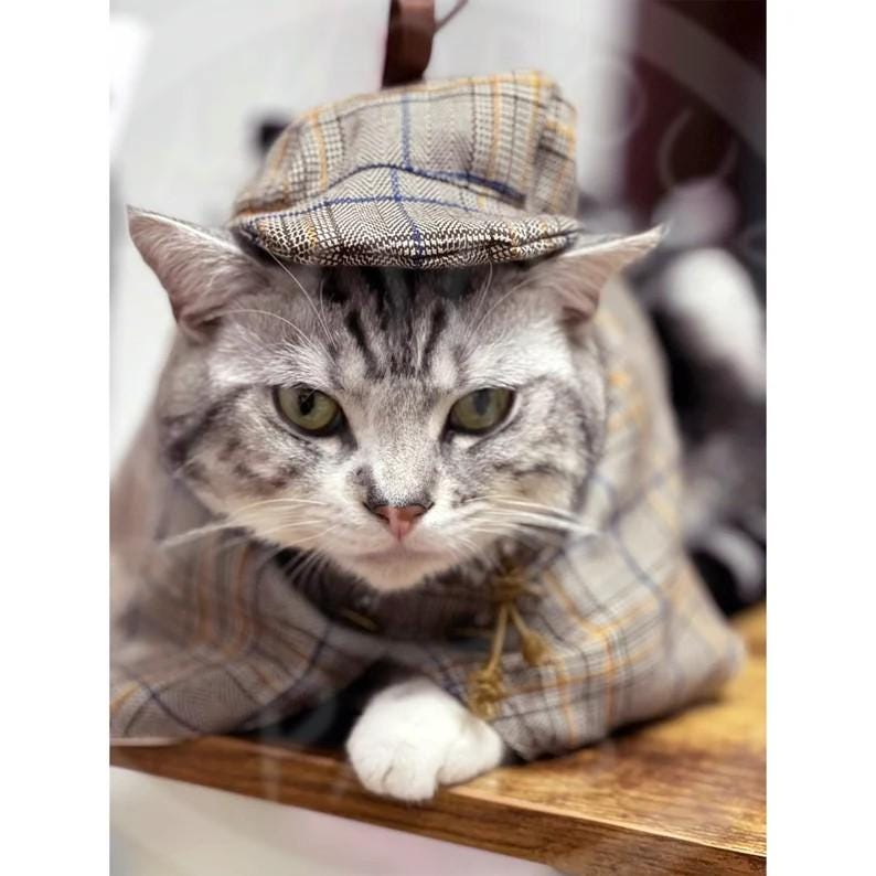 Detektiv Kostüm Für Hunde & Katzen - Sherlock Holmes Verkleidung
