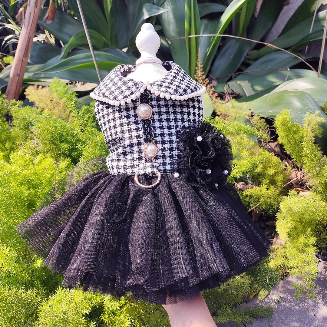 Fancy Hounds With Bows - Short Sleeve Loungewear Set main image 0