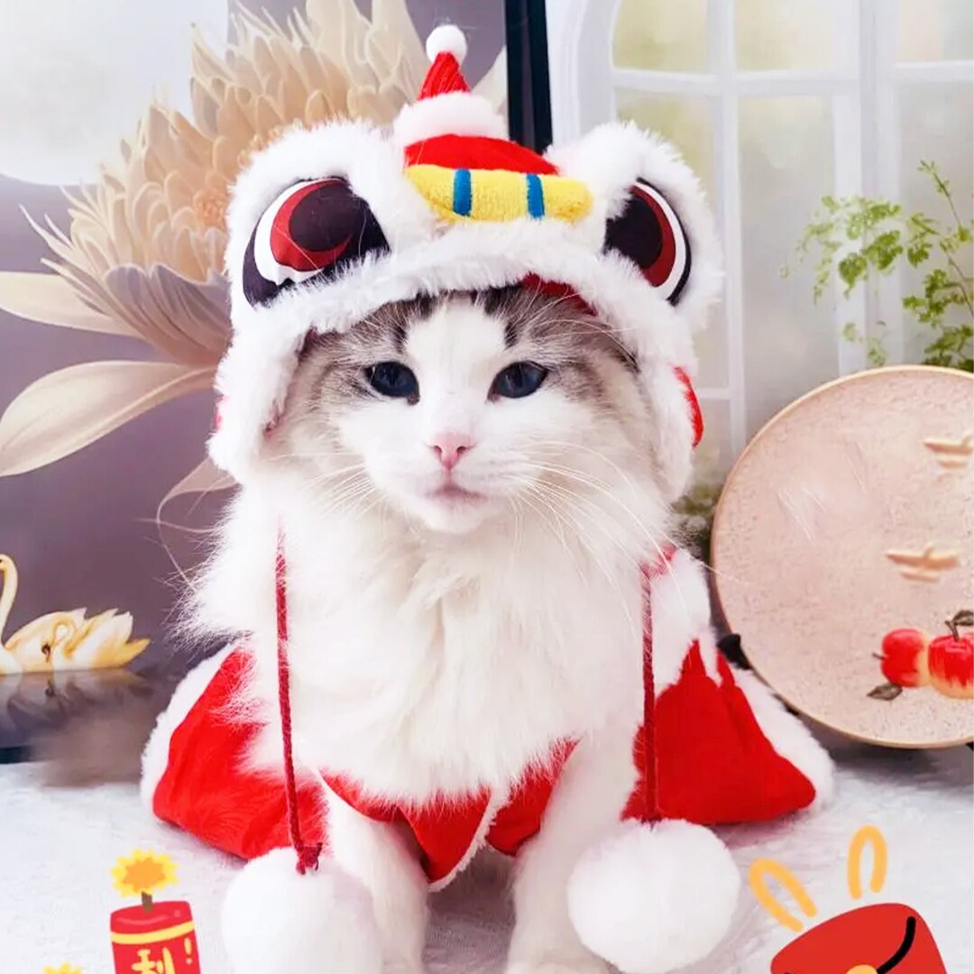 chinese new year cat costume