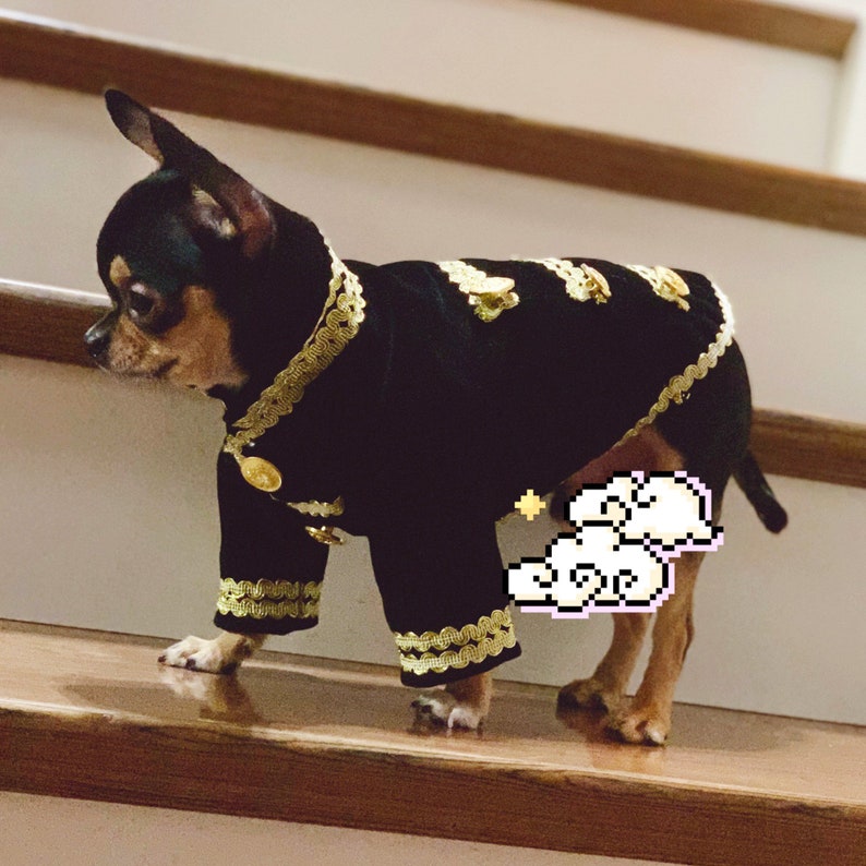 Dog Prince Charming Costume Halloween, Black Velveteen Jacket for Cats and Dogs, Puppy Dog Coat Fall Winter Pet Clothes Custom Size image 4