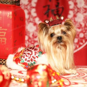 カスタマイズ可能な新年の犬服犬用チャイナドレス、大型犬と猫用の赤い牡丹の花のコート、中国の春節の結婚式のペット服