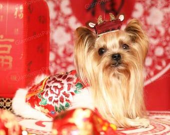 Customizable New Year Dog Outfit Dog Cheongsam, Red Peony Flower Coat for Big Dogs and Cats, Chinese Spring Festival Wedding Pets Clothes