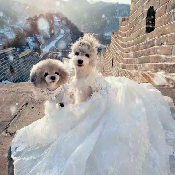Vestido De Boda Para Perras Encaje Blanco Con Lazo, Ajustable
