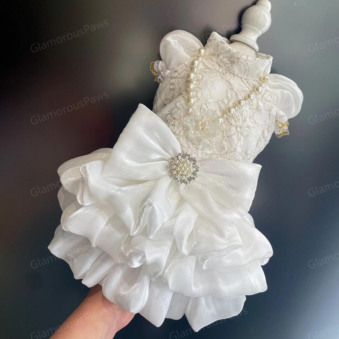 BIG DOG - Glamorous White Satin Doggy Dress
