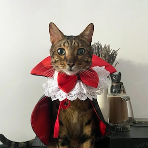 Vampire Dracula Costume for Cats and Dogs Halloween Party, Pet Cosplay Dress Up, Vampire Cape Wizard Outfit, Dog Devil Costume Custom Size