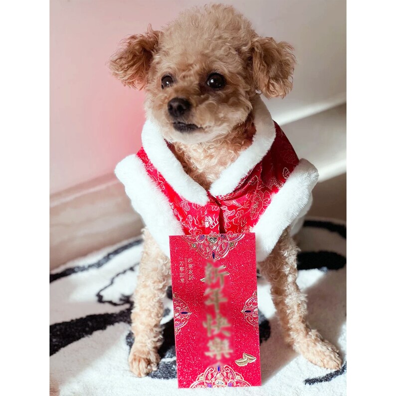 New Year Dog Harness Coat with Purse, Chinese Spring Festival Costume Red Jacket for Puppy Large Dogs and Cats, Custom Pet Winter Clothes image 3