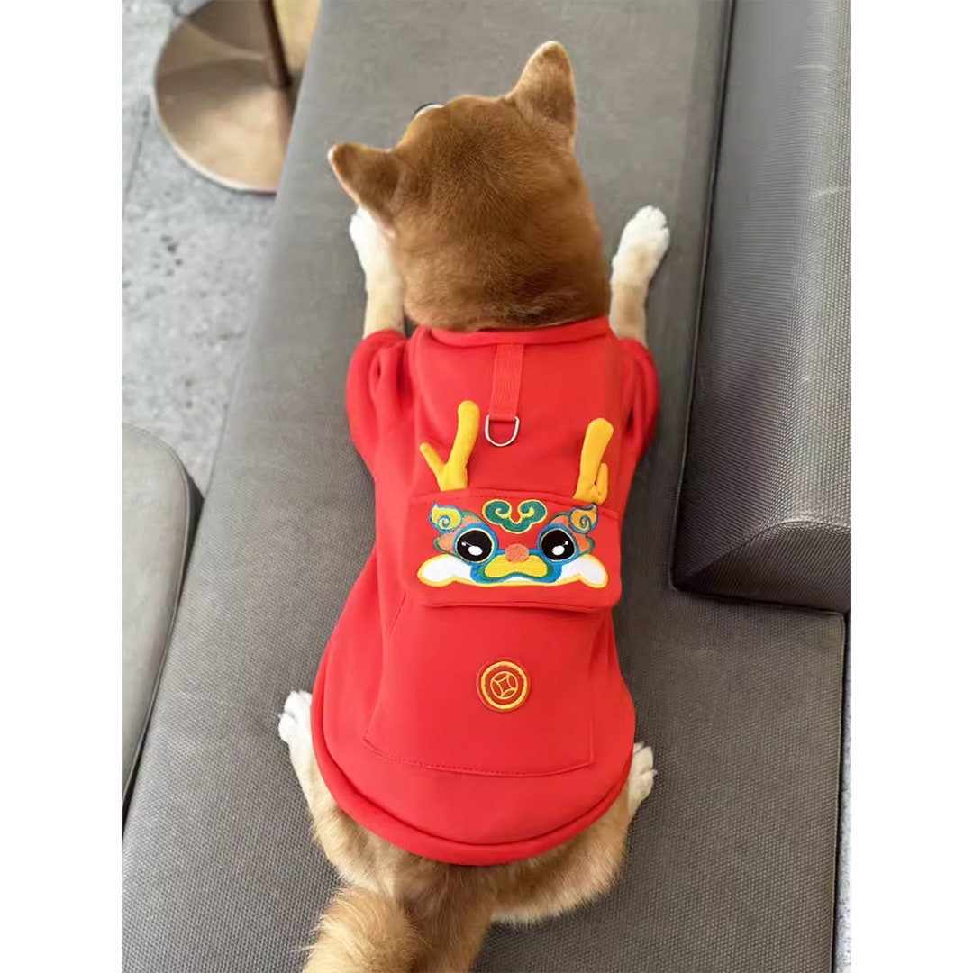 chinese new year costume dragon
