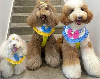 Pode incluir: Três cães, cada um com pelo fofo, posam em degraus. Eles usam acessórios combinando: babadores com babados em azul, amarelo e rosa, adornados com laços e estrelas. As cores do pelo dos cães variam de branco a marrom.
