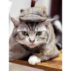 Cat Detective Costume Halloween, Sherlock Holmes Cape & Deerstalker Hat for Cats and Dogs, Pet Detective Outfit Funny Costume Party Dress Up image 9