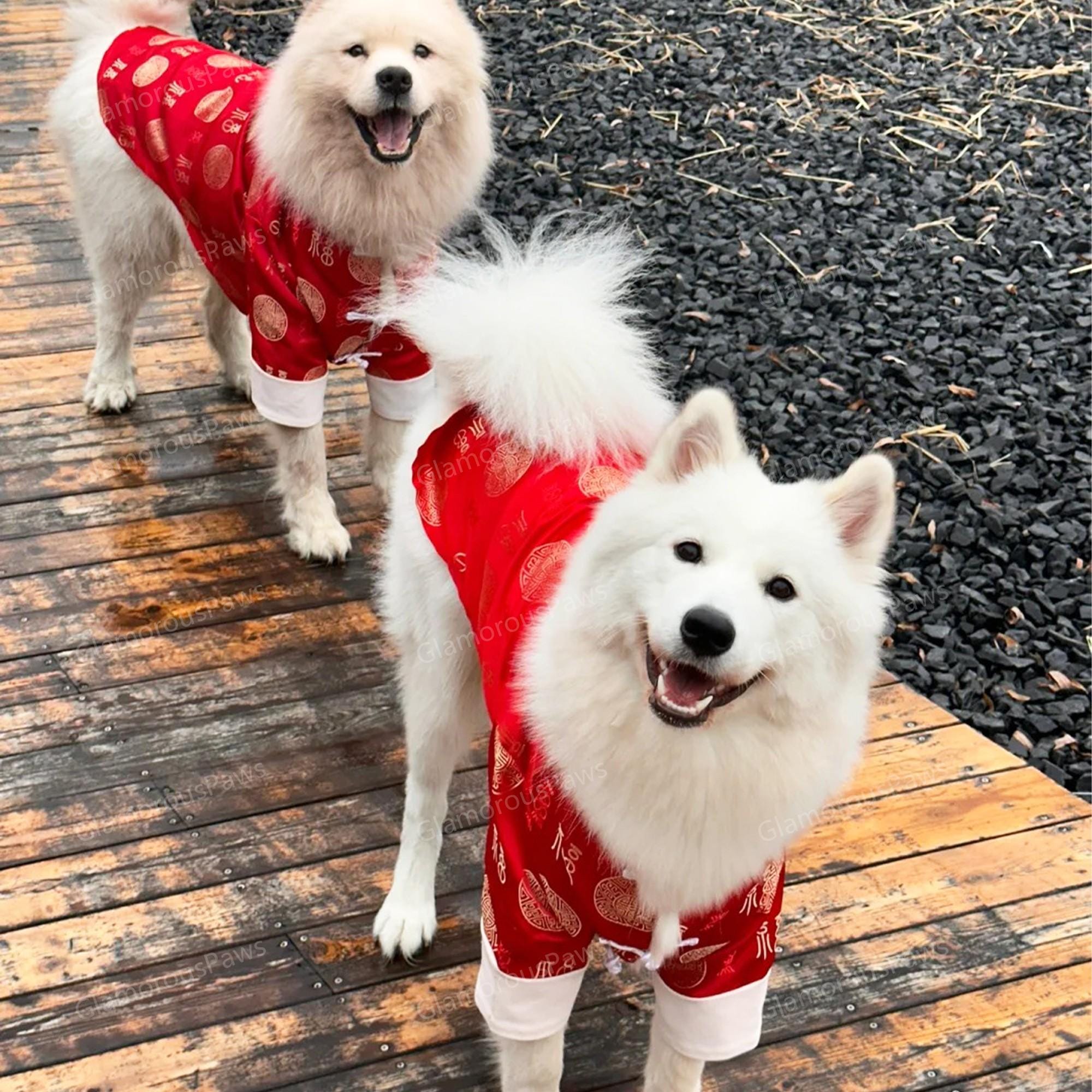 barnnet  Tシャツsamoyed nugu dholic il_fullxfull.5049523240_qu4l.jpg