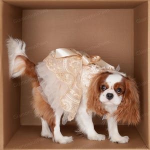 Customizable Wedding Pet Dress, Golden Flower Tulle Dress for Large Dogs and Cats, Birthday Party Dog Dress, Summer Pets Clothes Costume