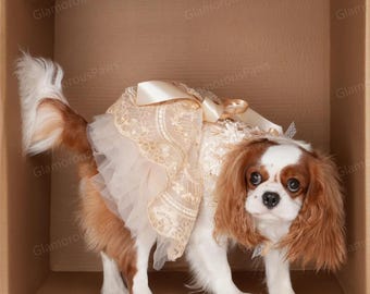 Customizable Wedding Pet Dress, Golden Flower Tulle Dress for Large Dogs and Cats, Birthday Party Dog Dress, Summer Pets Clothes Costume