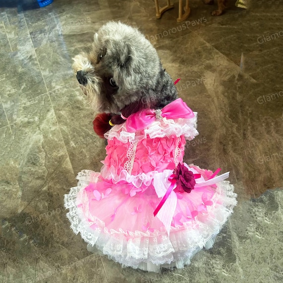 Robe de mariage personnalisable pour chien, Robe en tulle à fleurs