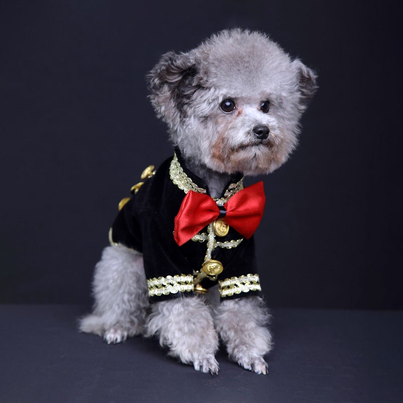 Dog Prince Charming Costume Halloween, Black Velveteen Jacket for Cats and Dogs, Puppy Dog Coat Fall Winter Pet Clothes Custom Size image 1