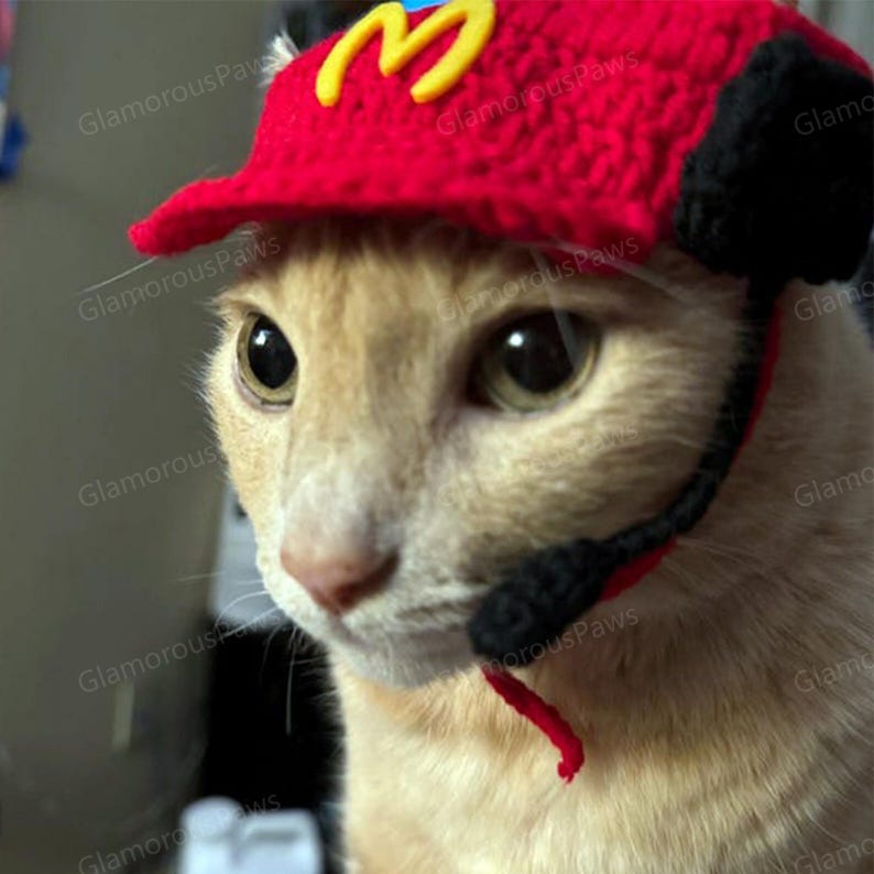 Fast Food Kostüm für Katzen und Hunde, Snackbar Personal Uniform Koch Haustier Cosplay Dress Up, rote Schürze und Strickmütze für Katzen und Hunde Halloween Bild 3