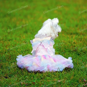 Halloween Butterfly Fairy Costume for Dogs and Cats, Fairy Outfit Tinker Bell Inspired Rainbow Dress & Detachable Wings, Pet Clothes Custom