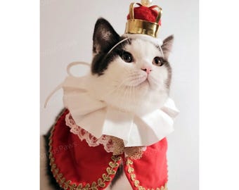 Pode incluir: Um gato usando uma capa vermelha e dourada, uma gola branca com babados e uma pequena coroa vermelha e dourada com uma pérola. O gato tem pelo preto e branco e está olhando para cima.