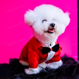 Dog Wedding Tuxedo Bestman Dog Costume, Halloween Prince Costume for Cats Dogs, One-piece Satin Formal Suit Pet Clothes Custom Size & Color