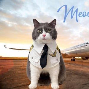 Cat Pilot Bandana Bib, Dog Pilot Costume Pet Halloween Outfit, Airline Captain Uniform for Cats and Dogs, Funny Costume Pet Cosplay Dress Up