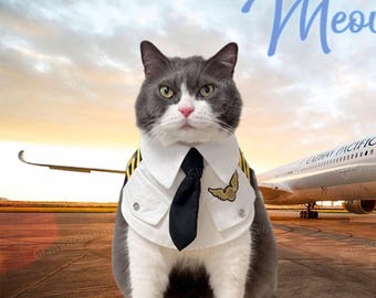 Cat Pilot Bandana Bib, Dog Pilot Costume Pet Halloween Outfit, Airline Captain Uniform for Cats and Dogs, Funny Costume Pet Cosplay Dress Up