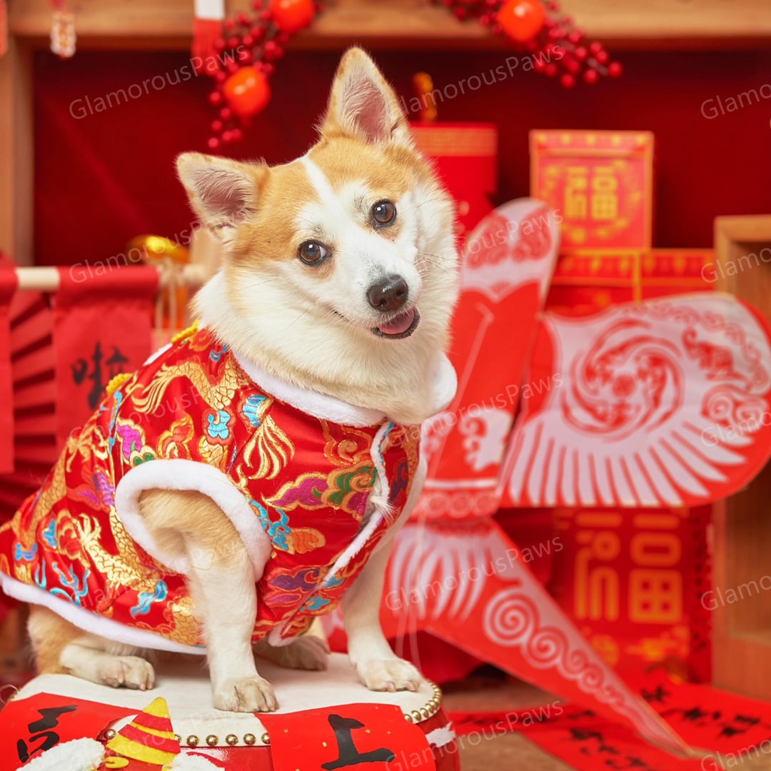 New Year Dog Clothes Red Gold Dragon Coat Chinese Spring