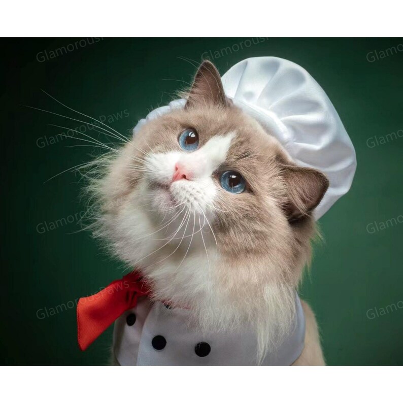 Cat Chef Bandana Bib with Chef Hat, Dog Chef Costume Pet Halloween Outfit, Cook Uniform for Cats and Dogs, Funny Costume Pet Cosplay Clothes image 2