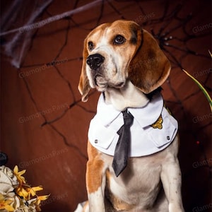 Dog Pilot Bandana Bib, Dog Pilot Costume Pet Halloween Outfit, Airline Captain Uniform for Dogs and Cats, Funny Costume Pet Cosplay Dress Up
