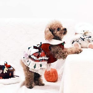 Dog Christmas Costume, Xmas Santa Costume Red Dress for Cats and Dogs, Winter Pet Clothes Custom Size, Christmas Gift for Dogs and Cats