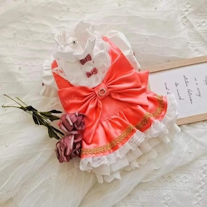 Déguisement d'Halloween pour chien personnalisable inspiré de Cardcaptor, robe de cosplay de fille de cartes magique pour grands chiens et chats, vêtements d'anniversaire pour animaux de compagnie