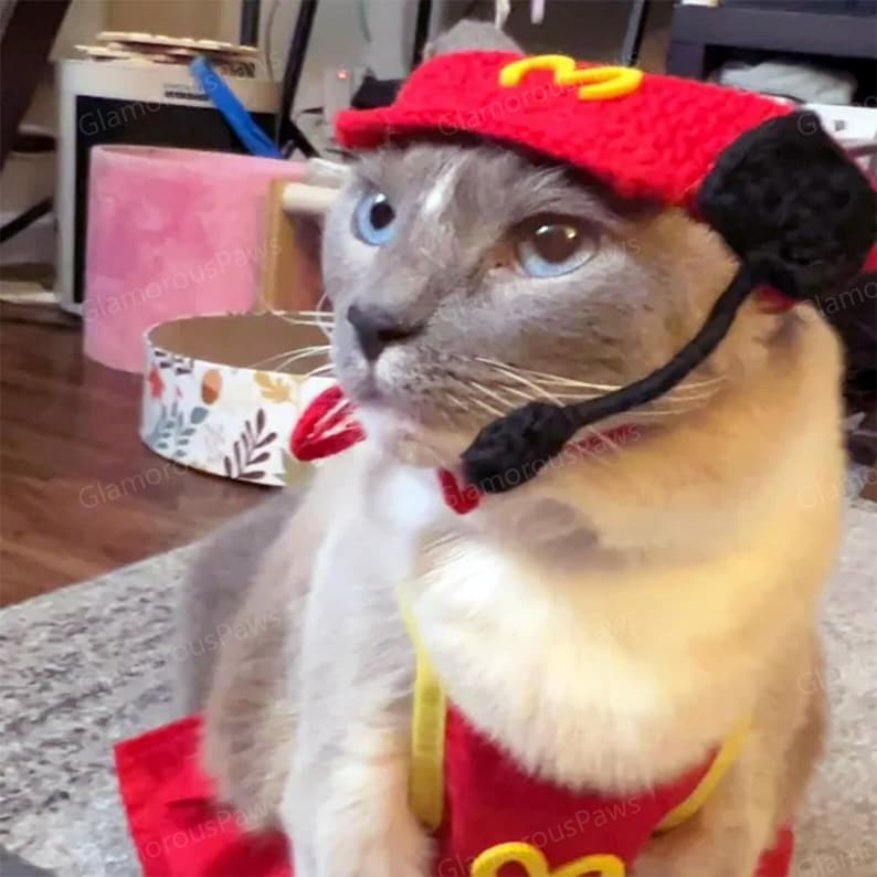 Fast Food Kostüm für Katzen und Hunde, Snackbar Personal Uniform Koch Haustier Cosplay Dress Up, rote Schürze und Strickmütze für Katzen und Hunde Halloween Bild 4