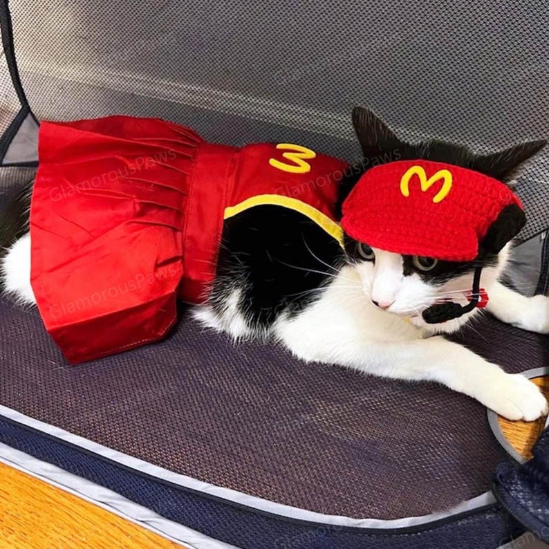 Fast Food Kostüm für Katzen und Hunde, Snackbar Personal Uniform Koch Haustier Cosplay Dress Up, rote Schürze und Strickmütze für Katzen und Hunde Halloween Bild 2